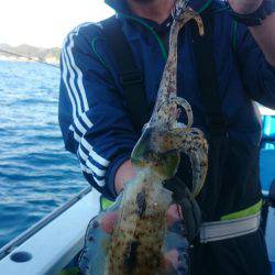 第三共栄丸 釣果