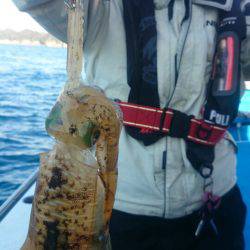 第三共栄丸 釣果