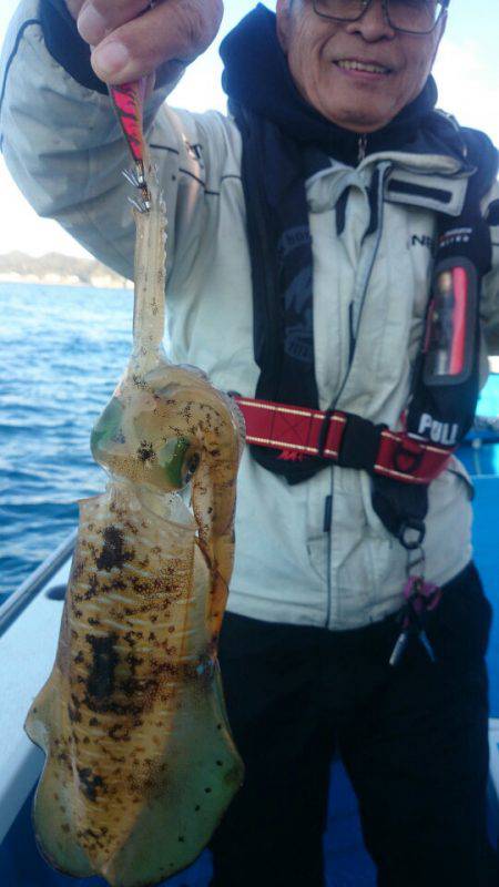 第三共栄丸 釣果