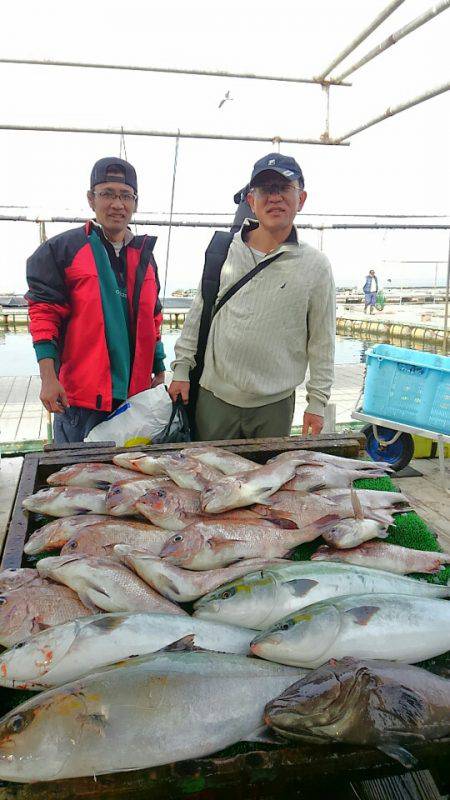 海の釣堀 海恵 釣果