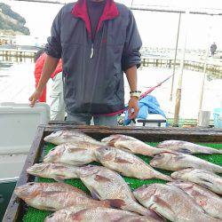 海の釣堀 海恵 釣果