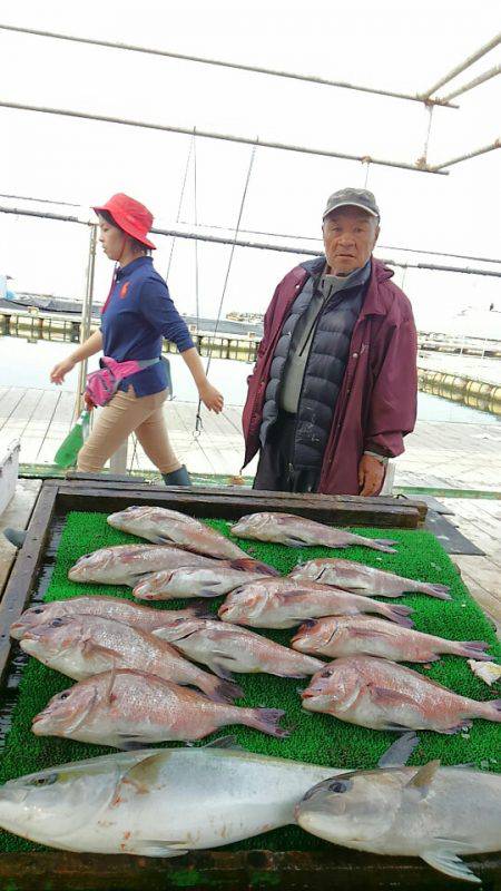 海の釣堀 海恵 釣果
