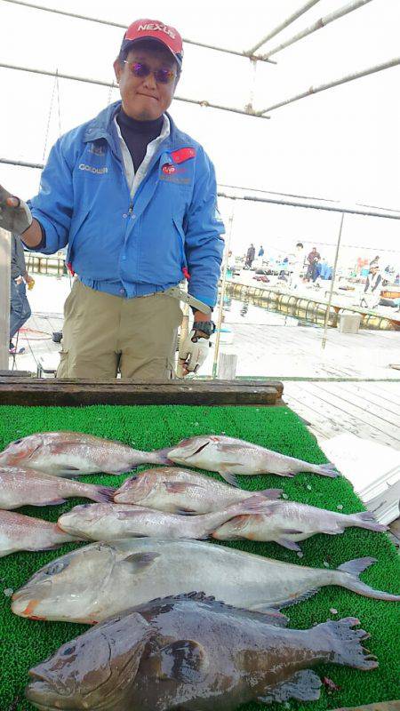 海の釣堀 海恵 釣果
