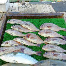 海の釣堀 海恵 釣果