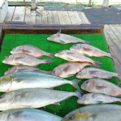 海の釣堀 海恵 釣果