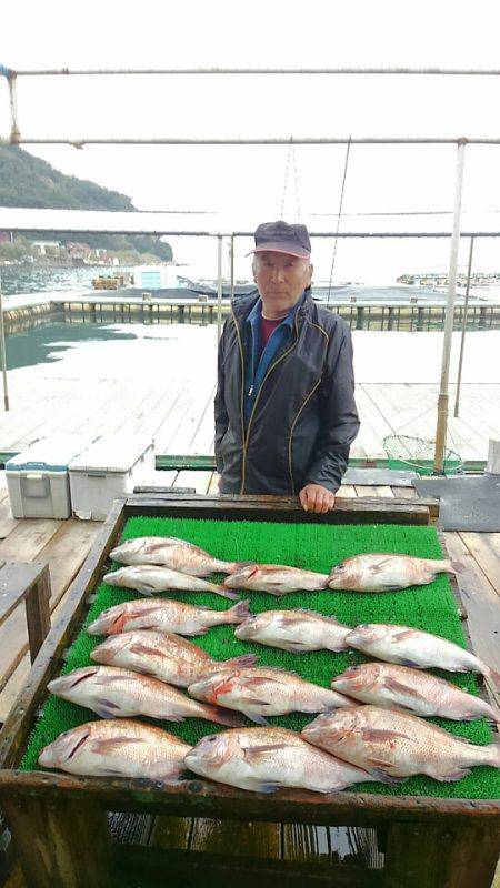 海の釣堀 海恵 釣果