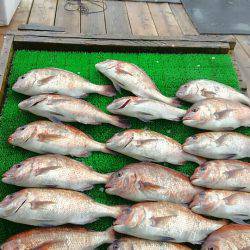 海の釣堀 海恵 釣果