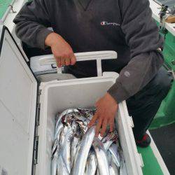 金沢八景鴨下丸 釣果