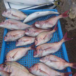 第三共栄丸 釣果