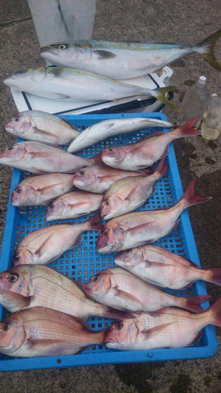 第三共栄丸 釣果