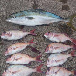 第三共栄丸 釣果