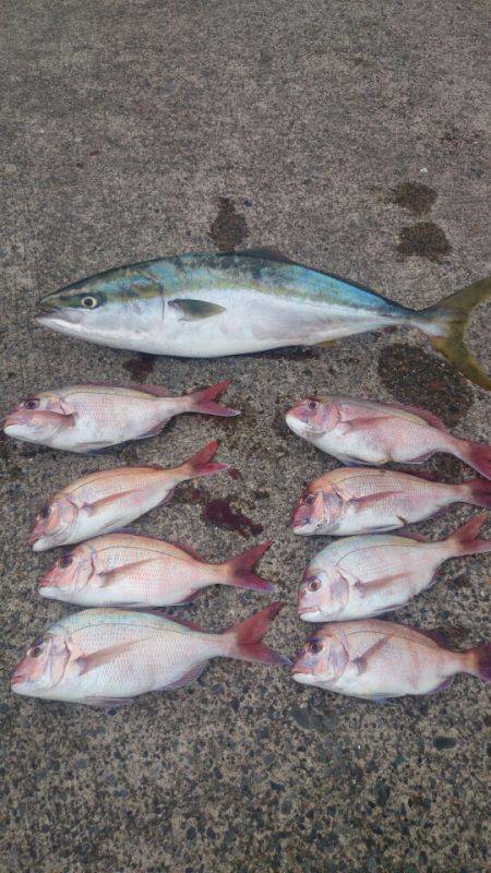 第三共栄丸 釣果