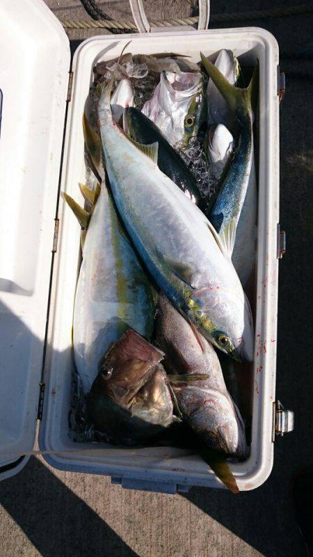 海龍丸（石川） 釣果