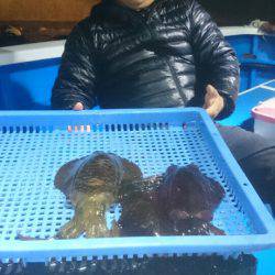 第三共栄丸 釣果