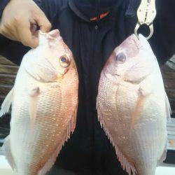 サンマリン 釣果