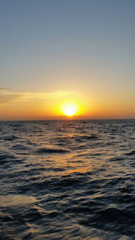 金沢八景鴨下丸 釣果