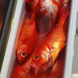 金沢八景鴨下丸 釣果