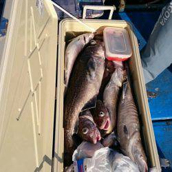 海龍丸(石川) 釣果