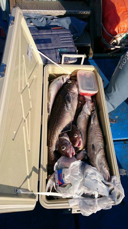 海龍丸(石川) 釣果