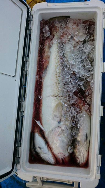 海龍丸(石川) 釣果