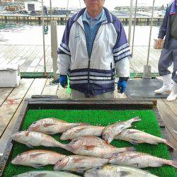 海の釣堀 海恵 釣果