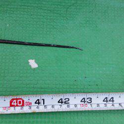 金沢八景鴨下丸 釣果