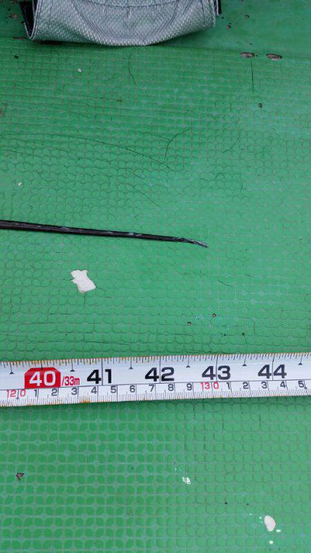 金沢八景鴨下丸 釣果