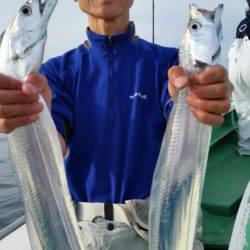 金沢八景鴨下丸 釣果