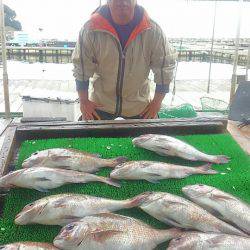 海の釣堀 海恵 釣果