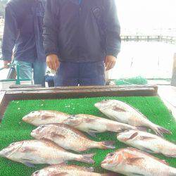 海の釣堀 海恵 釣果