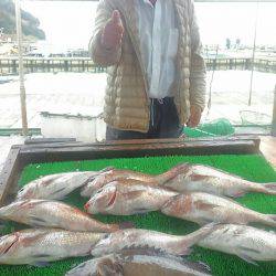 海の釣堀 海恵 釣果