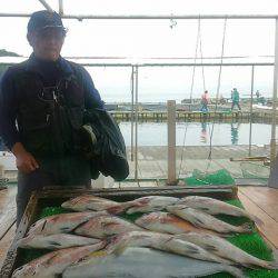 海の釣堀 海恵 釣果