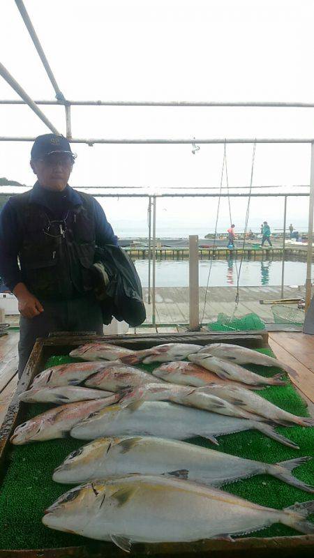海の釣堀 海恵 釣果