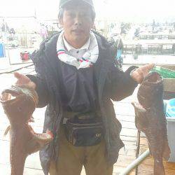 海の釣堀 海恵 釣果