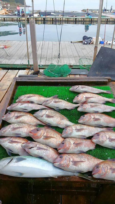 海の釣堀 海恵 釣果