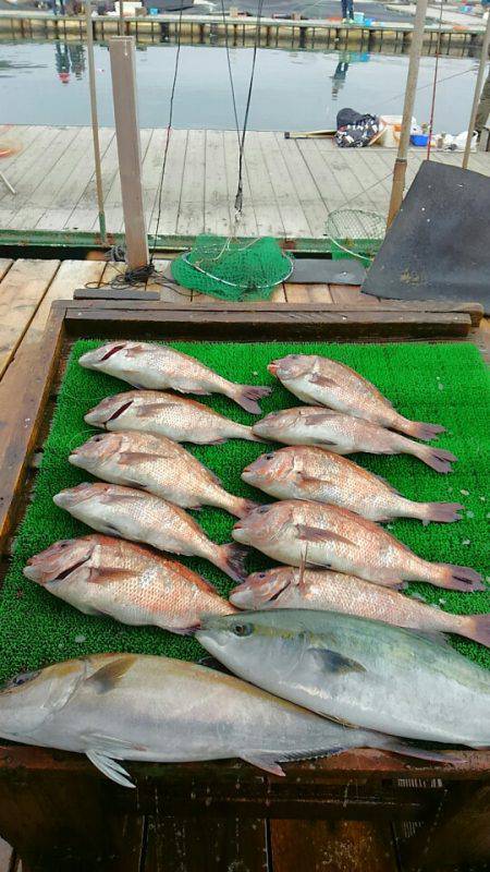 海の釣堀 海恵 釣果
