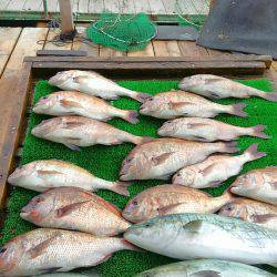 海の釣堀 海恵 釣果
