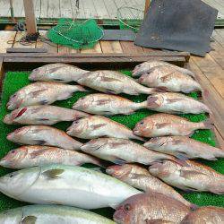 海の釣堀 海恵 釣果