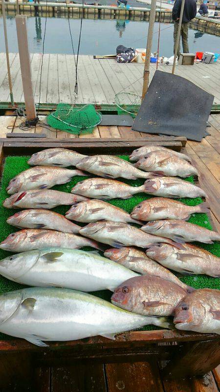 海の釣堀 海恵 釣果