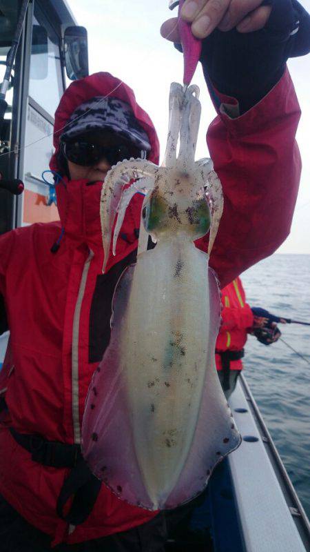 第三共栄丸 釣果