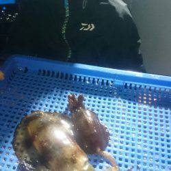 第三共栄丸 釣果