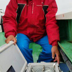 金沢八景鴨下丸 釣果