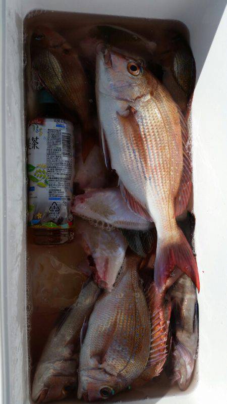 富士丸 釣果