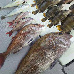 タイラバ遊漁船 ワンピース 釣果