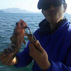 タイラバ遊漁船 ワンピース 釣果