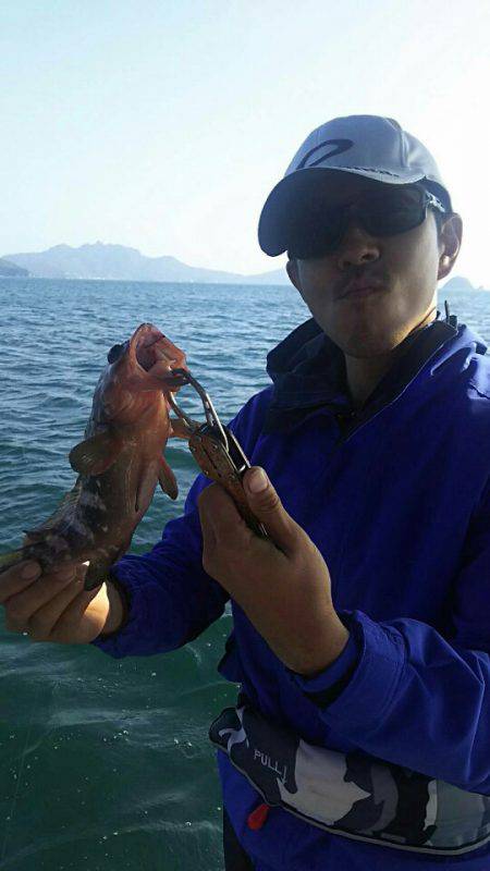 タイラバ遊漁船 ワンピース 釣果