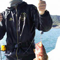 タイラバ遊漁船 ワンピース 釣果