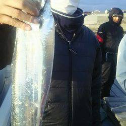 サンマリン 釣果