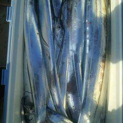 サンマリン 釣果