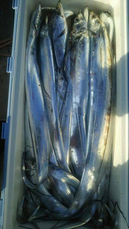 サンマリン 釣果